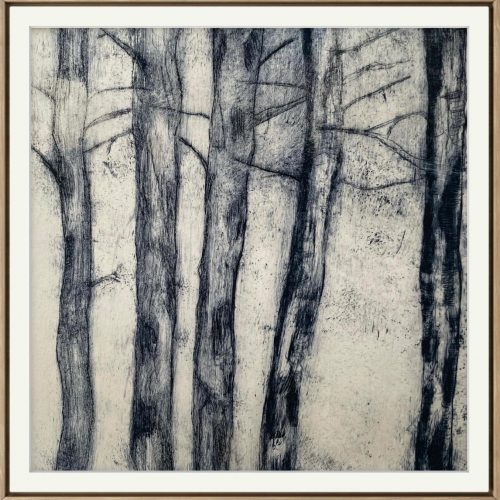 WhatsApp Image 2025-03-30 at 13.38.14